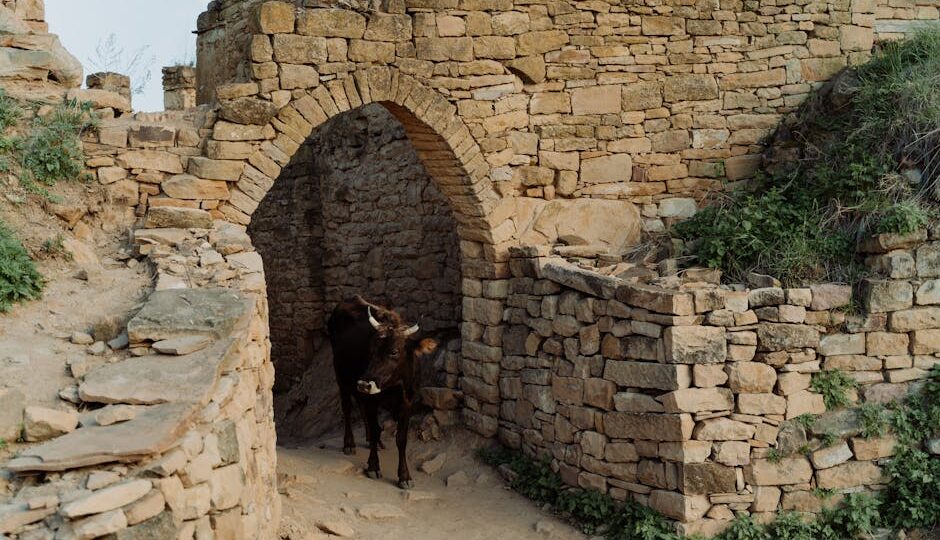 The Enigmatic Allure of Deserted Medieval Villages: A Journey Through Europe’s Forgotten Corners in 2026