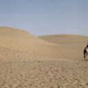 Rediscovering the Silk Road in 2026: A Journey Through Time and Trade